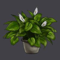 Peace Lily Heavyweight Hoodie | Teevron