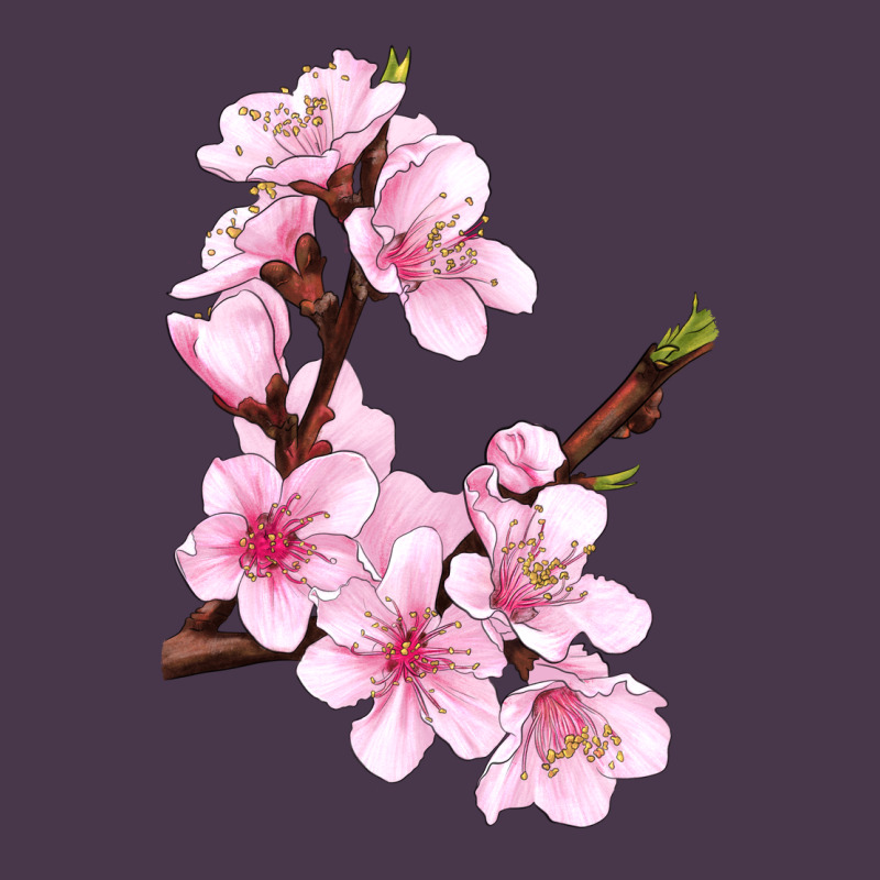 Peach Blossom Illustrations Heavyweight Hoodie by LillyAllenDesigns | Teevron