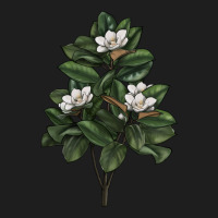 Magnolia Flower Illustrations Heavyweight Hoodie | Teevron