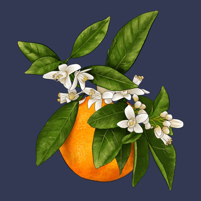 Tangerine Heavyweight Hoodie by LillyAllenDesigns | Teevron