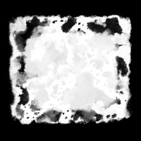 Black And White Cowhide Frames Ladies Tee | Teevron