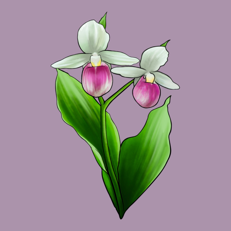 Pink And White Lady's Slipper Flower Heavyweight Hoodie by LillyAllenDesigns | Teevron