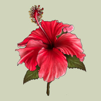 Puerto Rican Hibiscus Flower Heavyweight Hoodie | Teevron