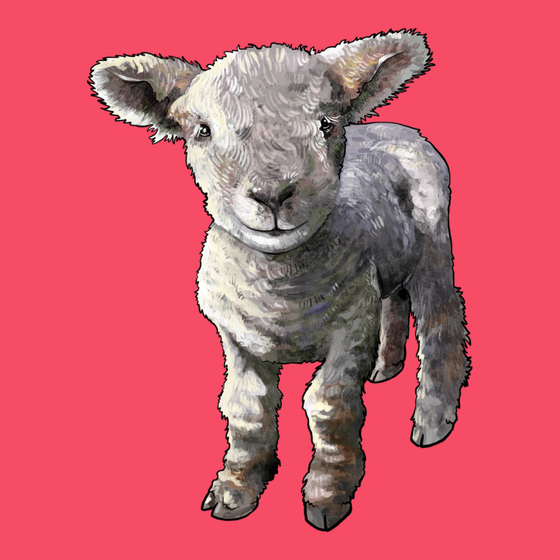 Southdown Baby Sheep Premium Sweatshirt by LillyAllenDesigns | Teevron