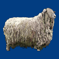 Lincoln Sheep Premium Sweatshirt | Teevron