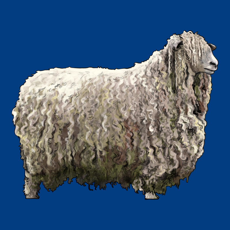 Lincoln Sheep Premium Sweatshirt by LillyAllenDesigns | Teevron