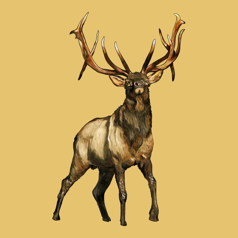 Elk Deer Premium Sweatshirt by LillyAllenDesigns | Teevron