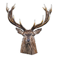 elk deer head | Teevron