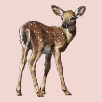 White Tailed Fawn Deer Premium Sweatshirt | Teevron