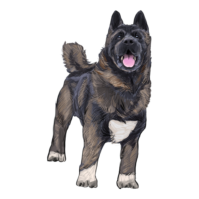 American Akita Ladies Tee by RanaPortraitStore | Teevron