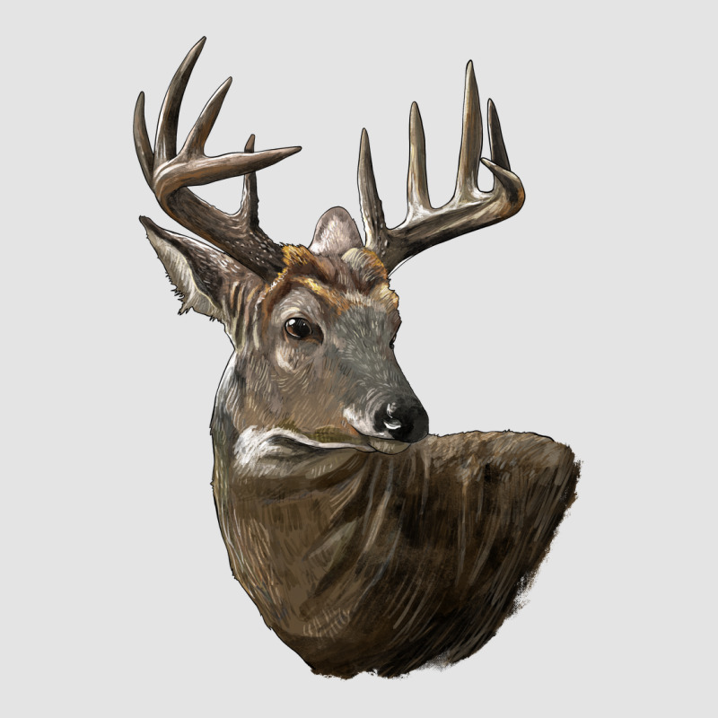 White Tailed Buck Deer Head Premium Sweatshirt by LillyAllenDesigns | Teevron