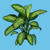 Dumb Cane Premium Sweatshirt | Teevron