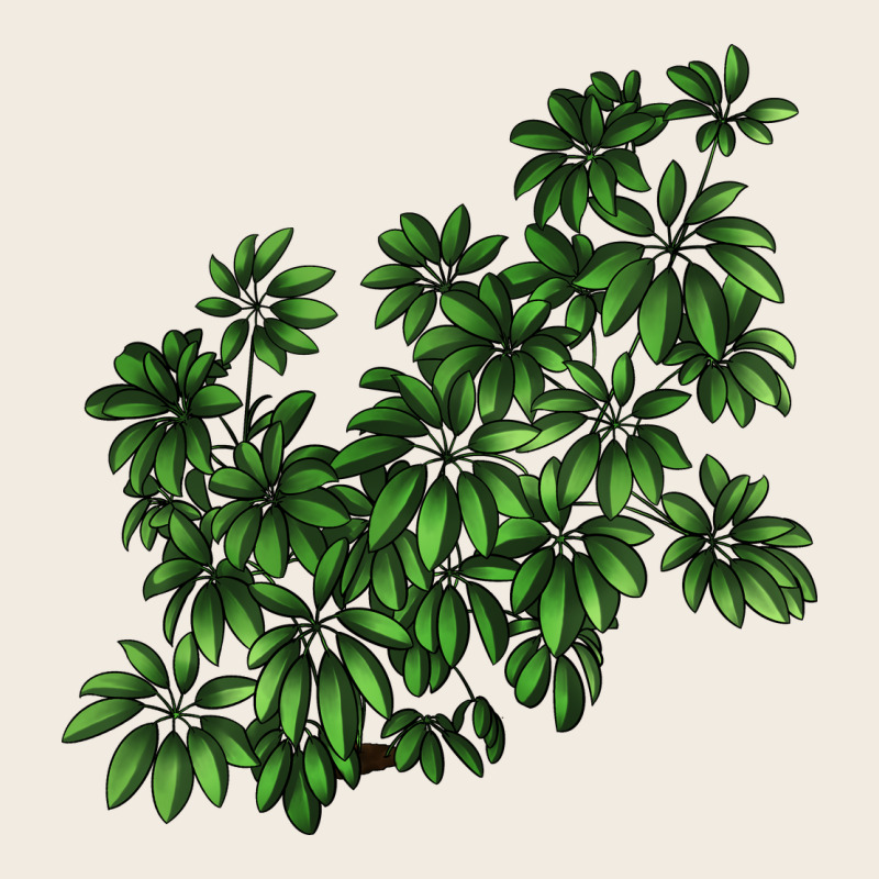 Botanical Schefflera Illustrations Premium Sweatshirt by LillyAllenDesigns | Teevron