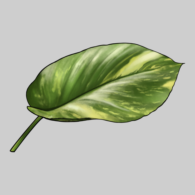 Golden Pothos Leaf Premium Sweatshirt by LillyAllenDesigns | Teevron