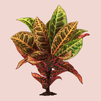 Croton Premium Sweatshirt | Teevron