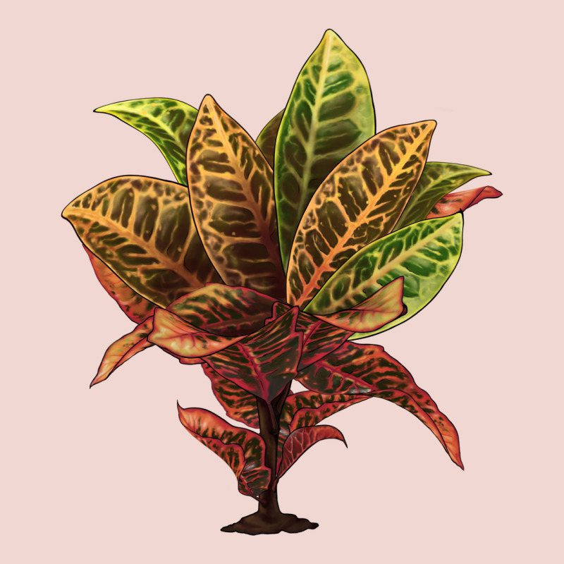 Croton Premium Sweatshirt by LillyAllenDesigns | Teevron