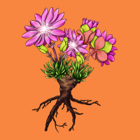 Bitterroot Flower Illustrations Premium Sweatshirt | Teevron