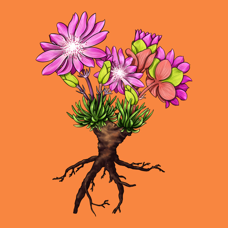 Bitterroot Flower Illustrations Premium Sweatshirt by LillyAllenDesigns | Teevron