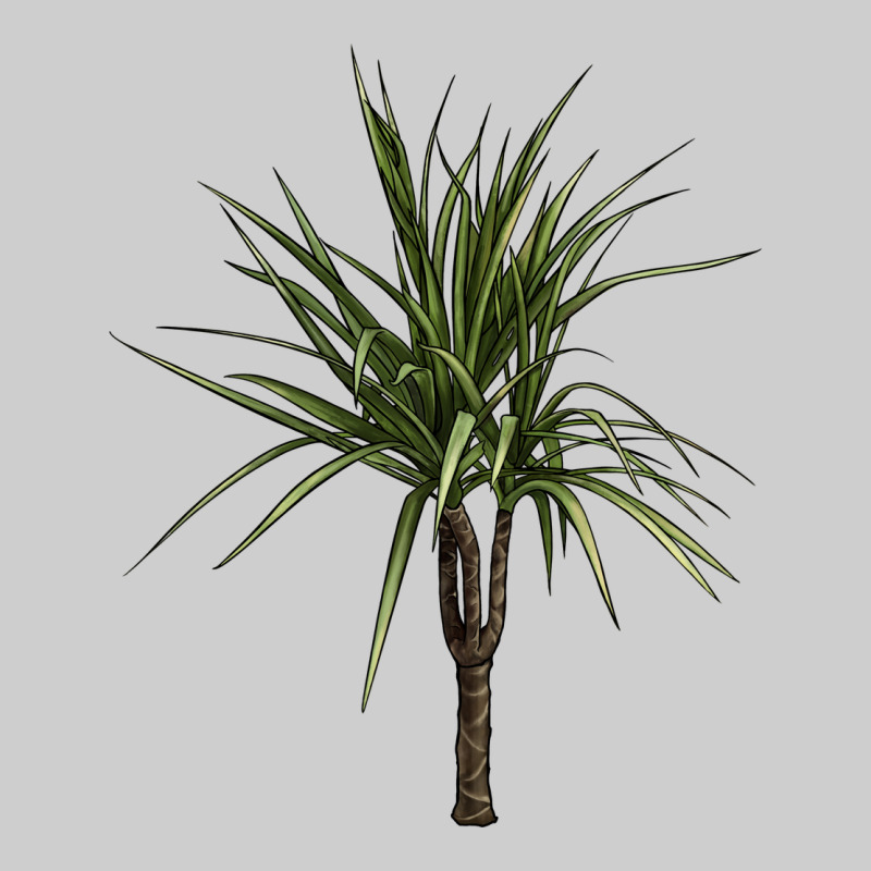 Dracaena Marginata Premium Sweatshirt by LillyAllenDesigns | Teevron
