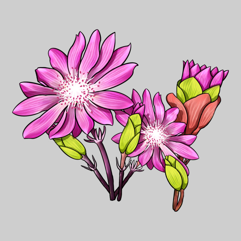 Bitterroot Flower Illustrations Premium Sweatshirt by LillyAllenDesigns | Teevron