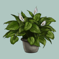 Peace Lily Premium Sweatshirt | Teevron