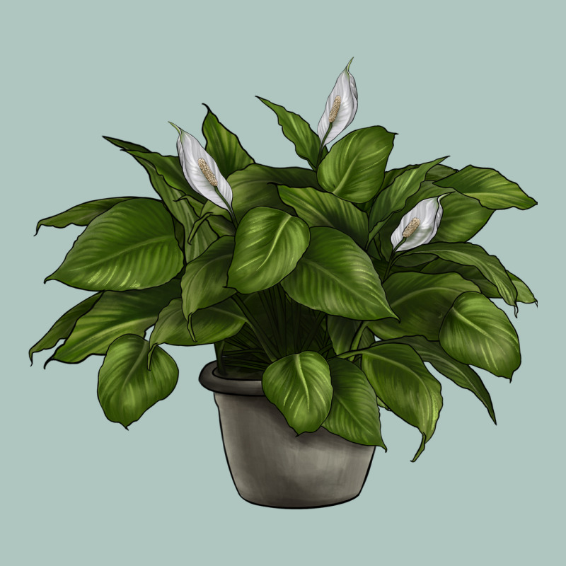 Peace Lily Premium Sweatshirt by LillyAllenDesigns | Teevron