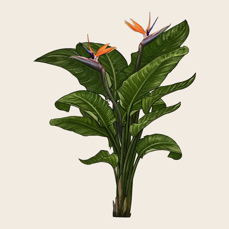 The Bird Of Paradise Premium Sweatshirt by LillyAllenDesigns | Teevron