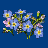 Forget Me Not Flower Illustrations Premium Sweatshirt | Teevron