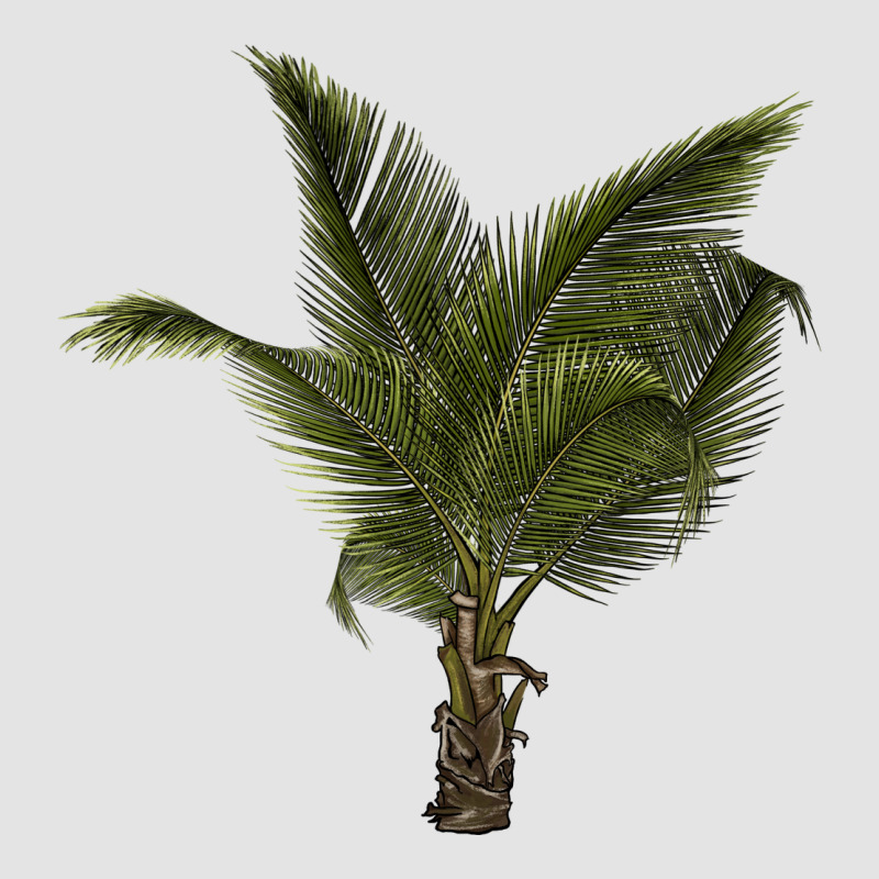 Palm Tree Premium Sweatshirt by LillyAllenDesigns | Teevron