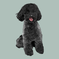 Black Poodles Dog Heavyweight Hoodie | Teevron
