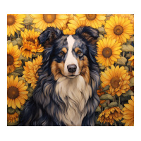 australian shepherd | Teevron