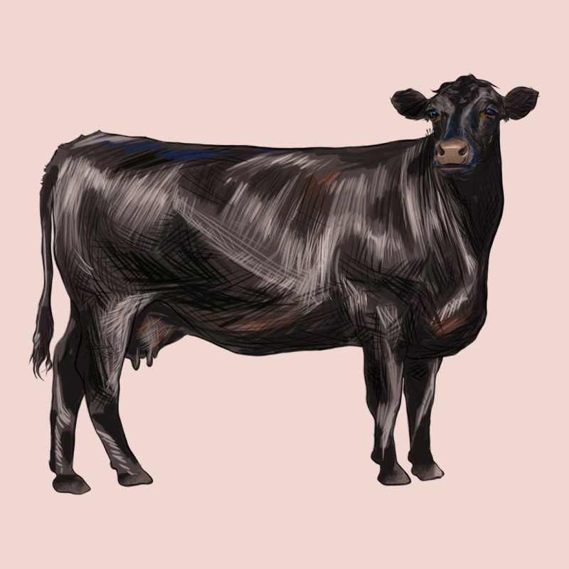 Black Angus Cow Premium Sweatshirt by LillyAllenDesigns | Teevron