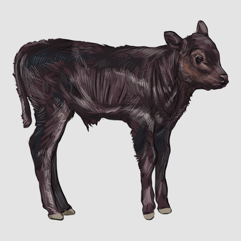 Black Angus Calf Illustrations Premium Sweatshirt by LillyAllenDesigns | Teevron
