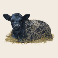 Black Angus Calf Illustrations Premium Sweatshirt | Teevron