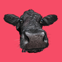 Black Angus Heifer Premium Sweatshirt | Teevron