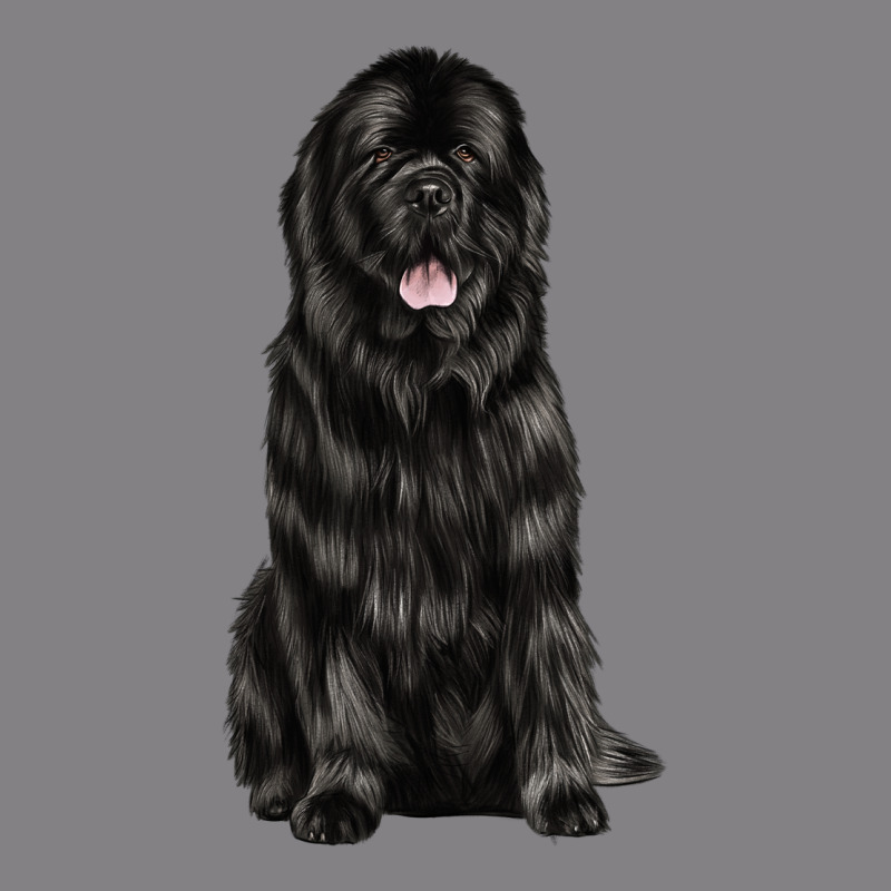 Newfoundland Dog Heavyweight Hoodie by LillyAllenDesigns | Teevron