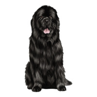 newfoundland dog | Teevron
