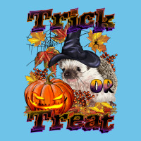 Halloween Hedgehog Trick Or Treat Premium Sweatshirt | Teevron