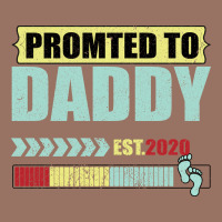 Promoted To Daddy Est 2020 Premium Hoodie | Teevron
