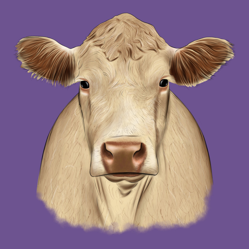 Charolais Vintage Tee by JahusDesignShop | Teevron