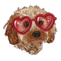 toy poodle with love glasses | Teevron