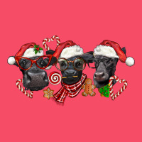 Christmas Black Angus Cows Premium Sweatshirt | Teevron