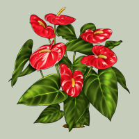 Anthurium Long Sleeve Tee | Teevron