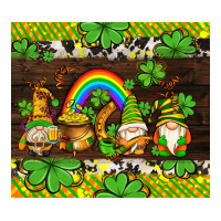 western st patricks gnomes | Teevron