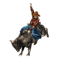 Western Rodeo Bullfighter Long Sleeve Tee | Teevron
