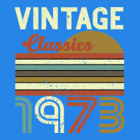 Vintage Classics 1973 Premium Hoodie | Teevron