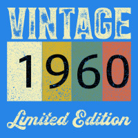 Vintage 1960 Limited Edition Premium Hoodie | Teevron