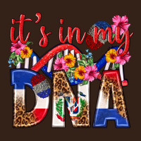 Its In My Dna Dominican Republic Heavy Core Tee | Teevron