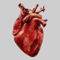 Anatomical Heart Premium Tee | Teevron