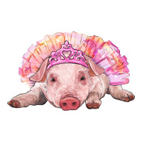 Balerina Baby Pig With Tutu | Teevron